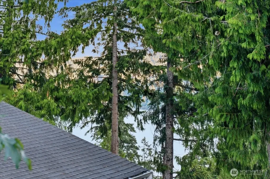 1508 208th Avenue NE Sammamish WA 98074