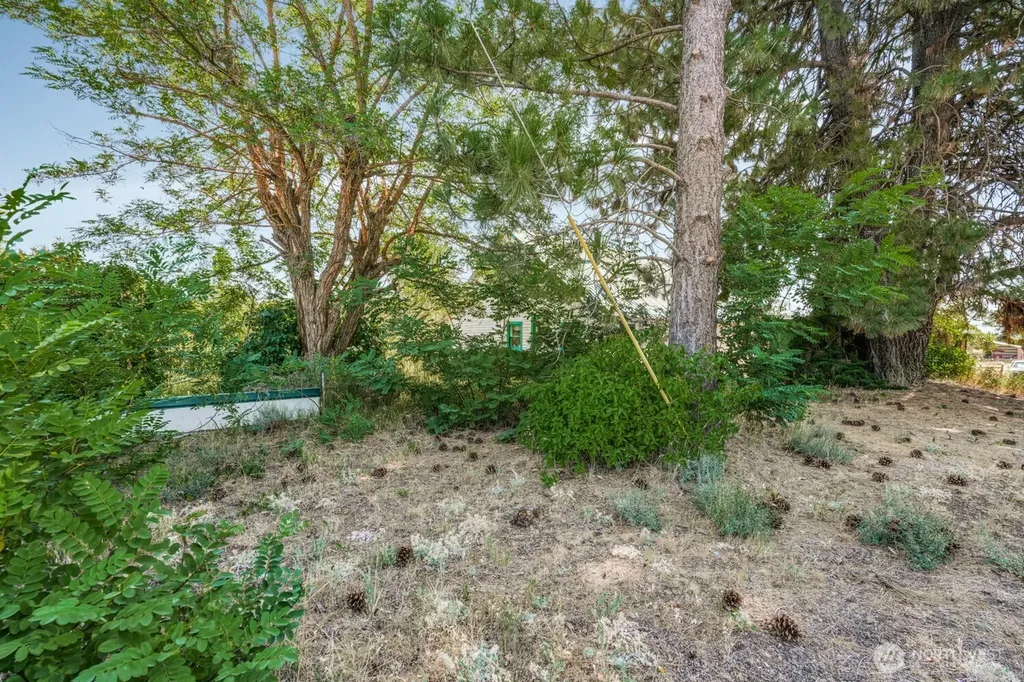 3220 Bickleton Highway Roosevelt WA 99356