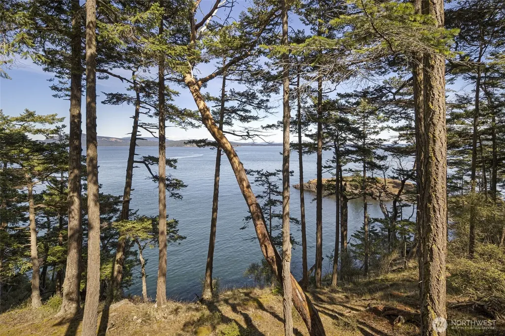 976 San Juan Drive Friday Harbor WA 98250