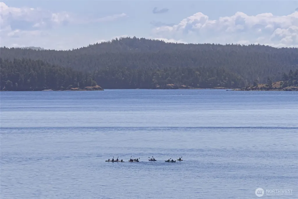 976 San Juan Drive Friday Harbor WA 98250
