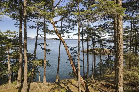 976 San Juan Drive Friday Harbor WA 98250