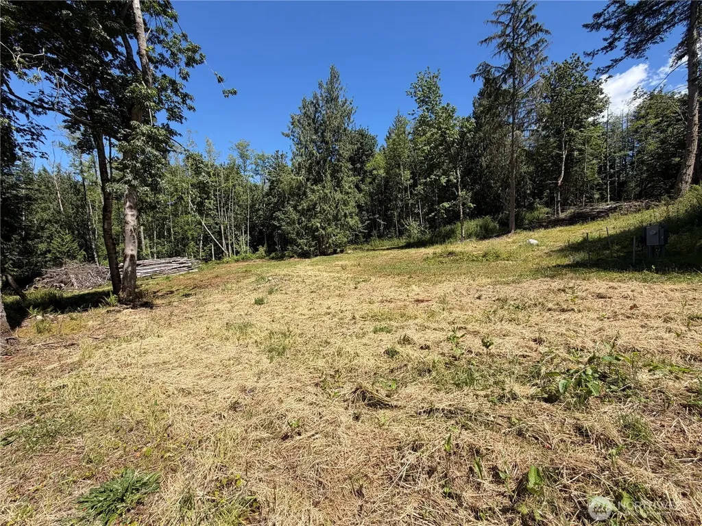 1183 Blyn Springs Road Sequim WA 98382