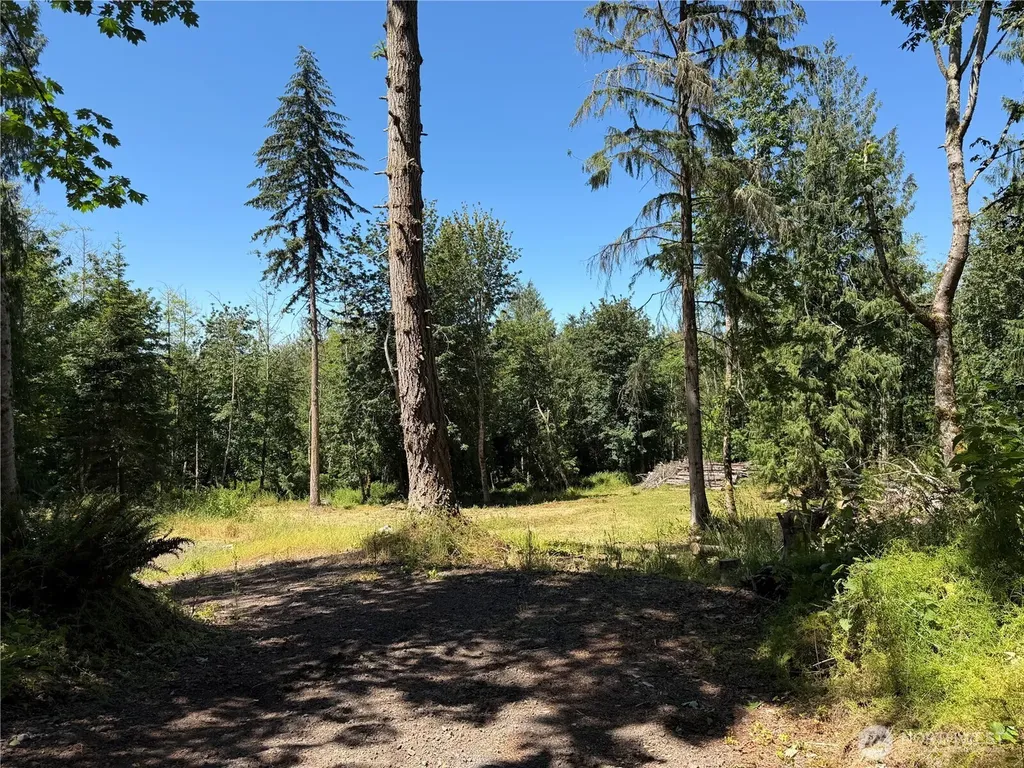 1183 Blyn Springs Road Sequim WA 98382