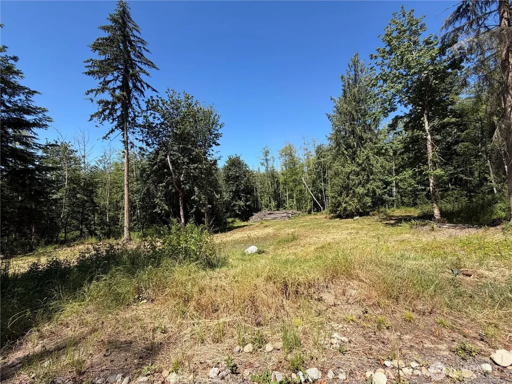 1183 Blyn Springs Road Sequim WA 98382