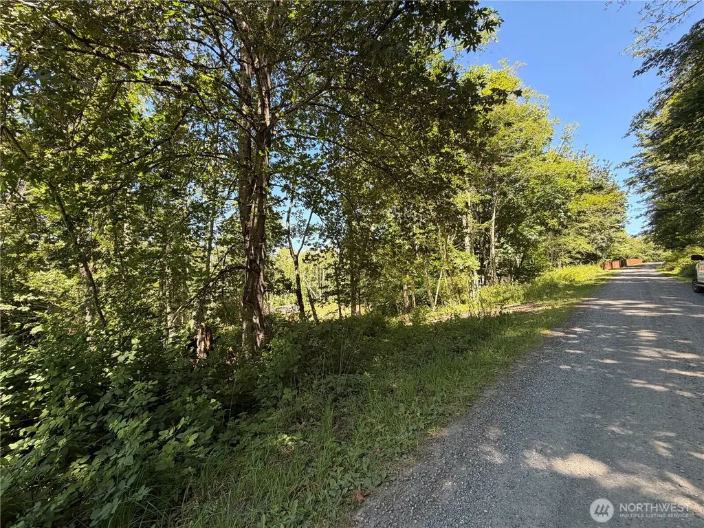 1183 Blyn Springs Road Sequim WA 98382