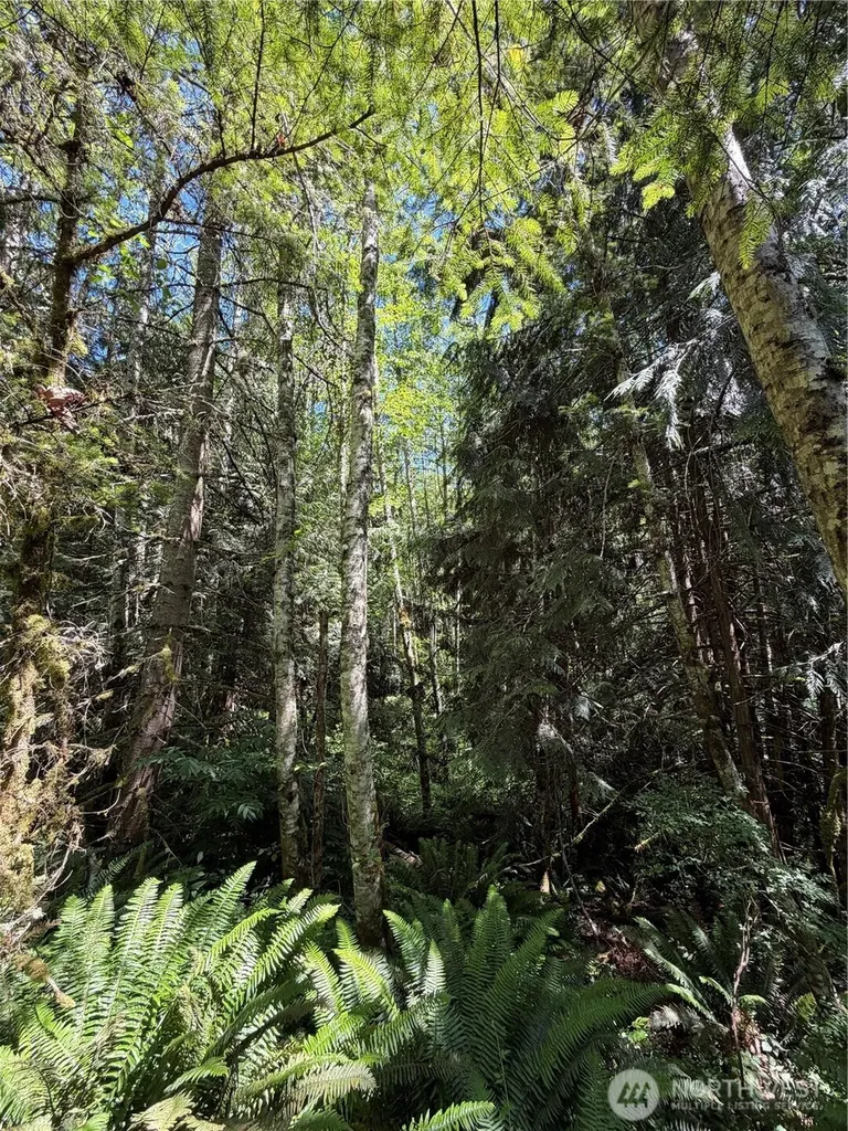1183 Blyn Springs Road Sequim WA 98382