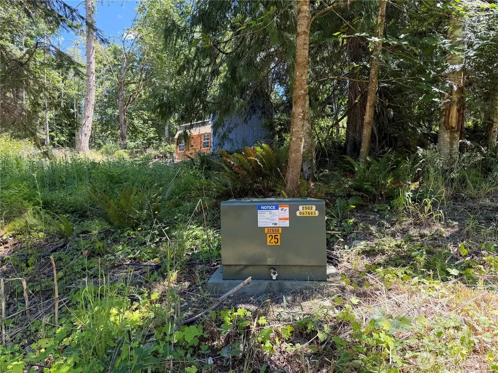 1183 Blyn Springs Road Sequim WA 98382