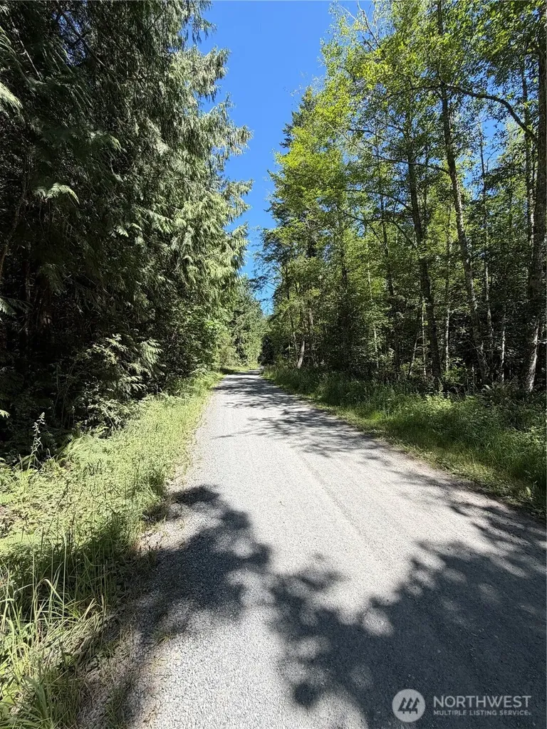 1183 Blyn Springs Road Sequim WA 98382