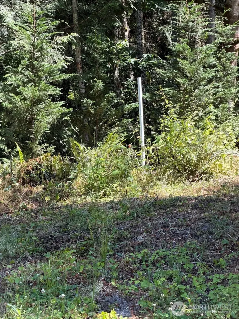 1183 Blyn Springs Road Sequim WA 98382