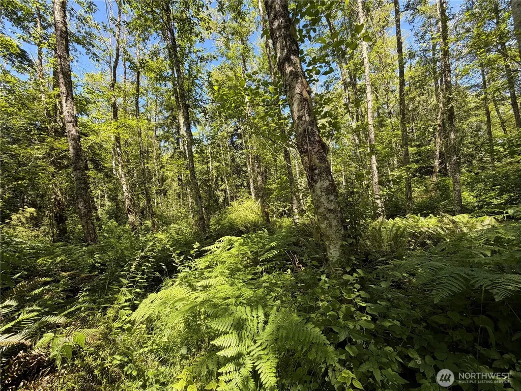 1183 Blyn Springs Road Sequim WA 98382