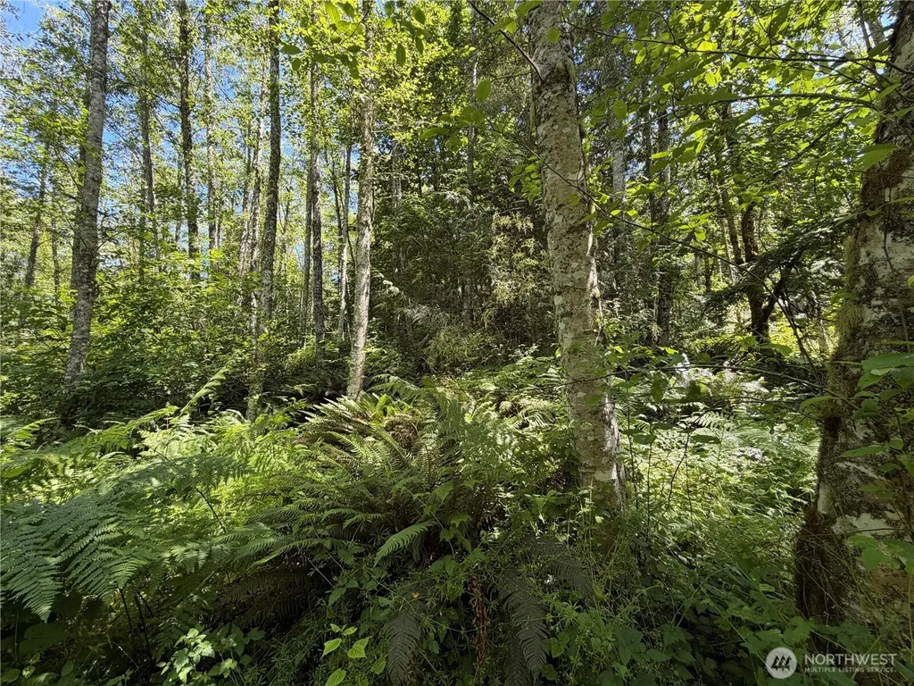 1183 Blyn Springs Road Sequim WA 98382