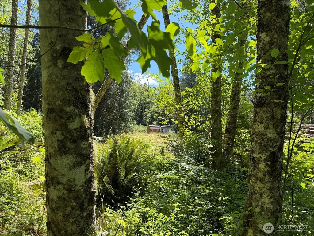 1183 Blyn Springs Road Sequim WA 98382