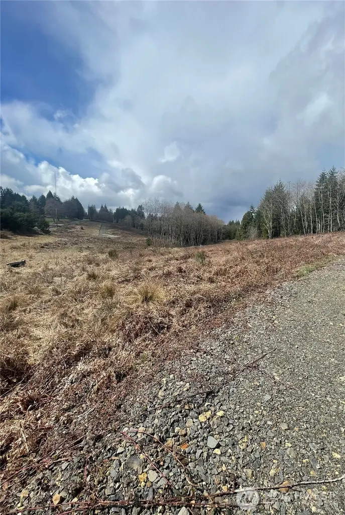 1015 Lone Oak Road Longview WA 98632