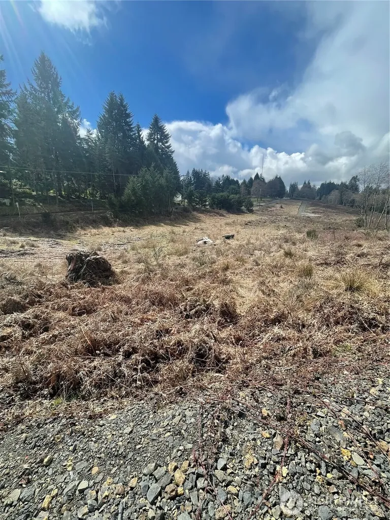 1015 Lone Oak Road Longview WA 98632