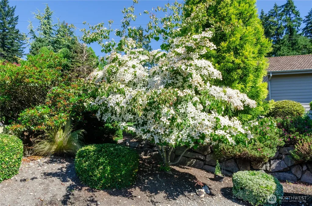7411 71st Avenue Ct SW Lakewood WA 98498