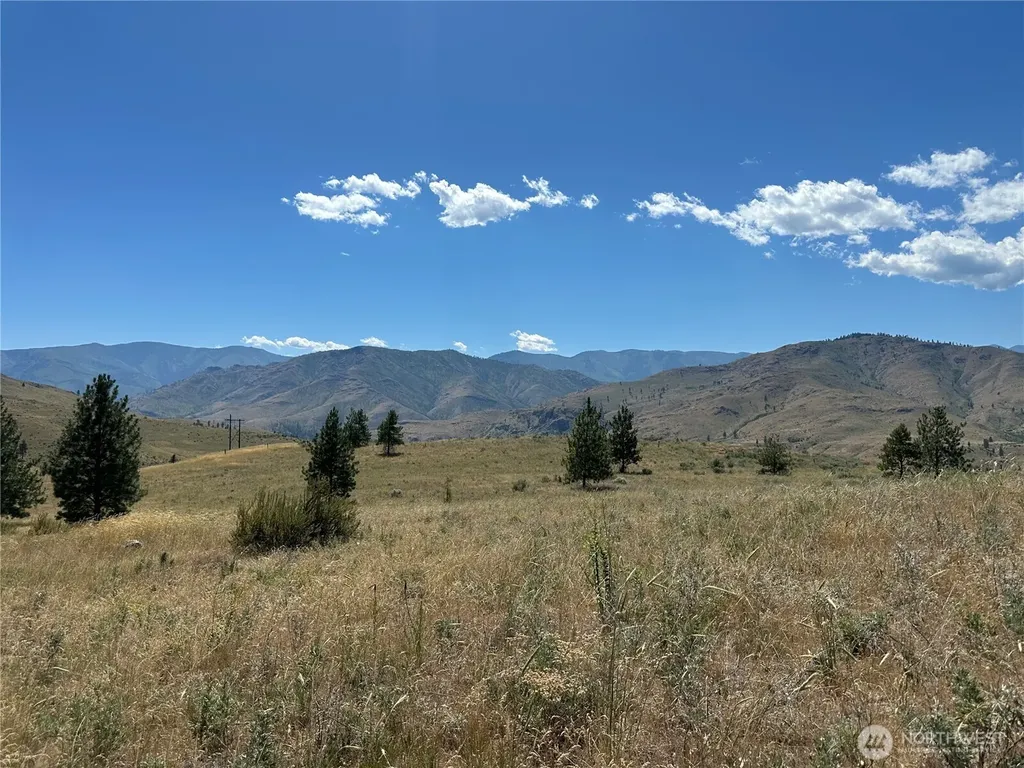 0 Peterson Ranch Road Pateros WA 98846