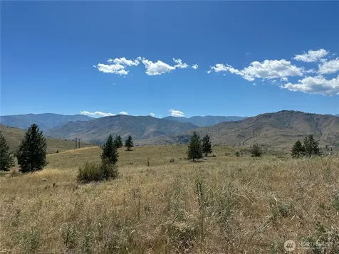 0 Peterson Ranch Road Pateros WA 98846
