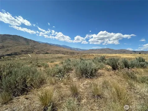 0 Peterson Ranch Road Pateros WA 98846