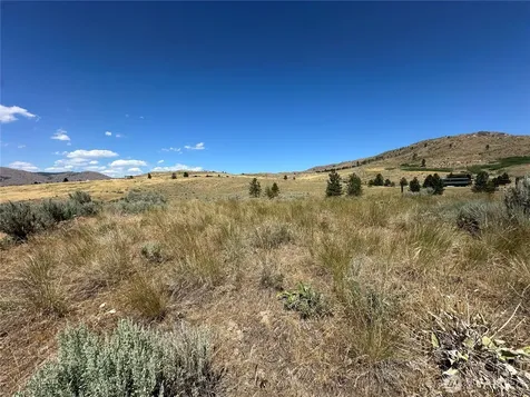 0 Peterson Ranch Road Pateros WA 98846