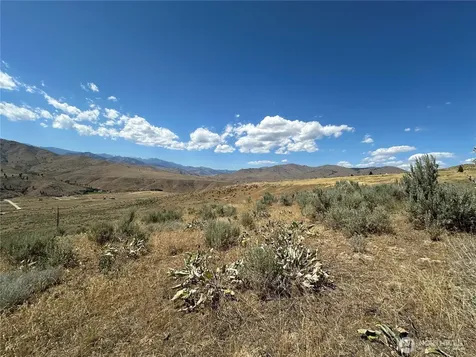 0 Peterson Ranch Road Pateros WA 98846