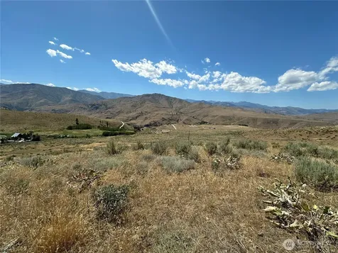 0 Peterson Ranch Road Pateros WA 98846