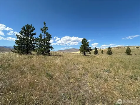 0 Peterson Ranch Road Pateros WA 98846