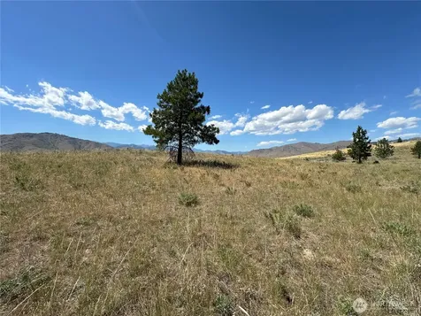 0 Peterson Ranch Road Pateros WA 98846