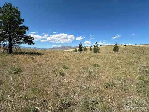 0 Peterson Ranch Road Pateros WA 98846