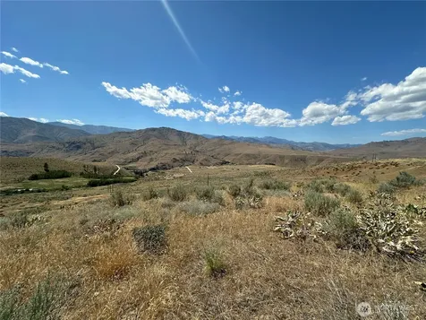0 Peterson Ranch Road Pateros WA 98846