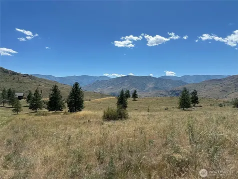 0 Peterson Ranch Road Pateros WA 98846