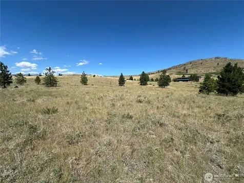 0 Peterson Ranch Road Pateros WA 98846