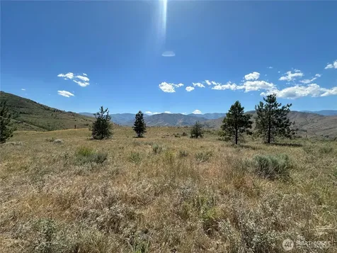 0 Peterson Ranch Road Pateros WA 98846