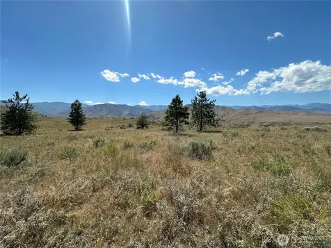0 Peterson Ranch Road Pateros WA 98846