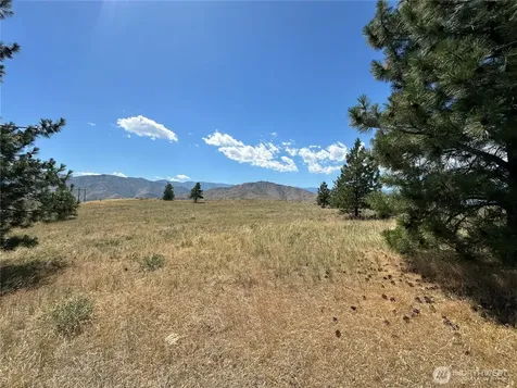 0 Peterson Ranch Road Pateros WA 98846