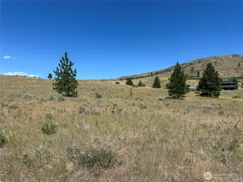 0 Peterson Ranch Road Pateros WA 98846