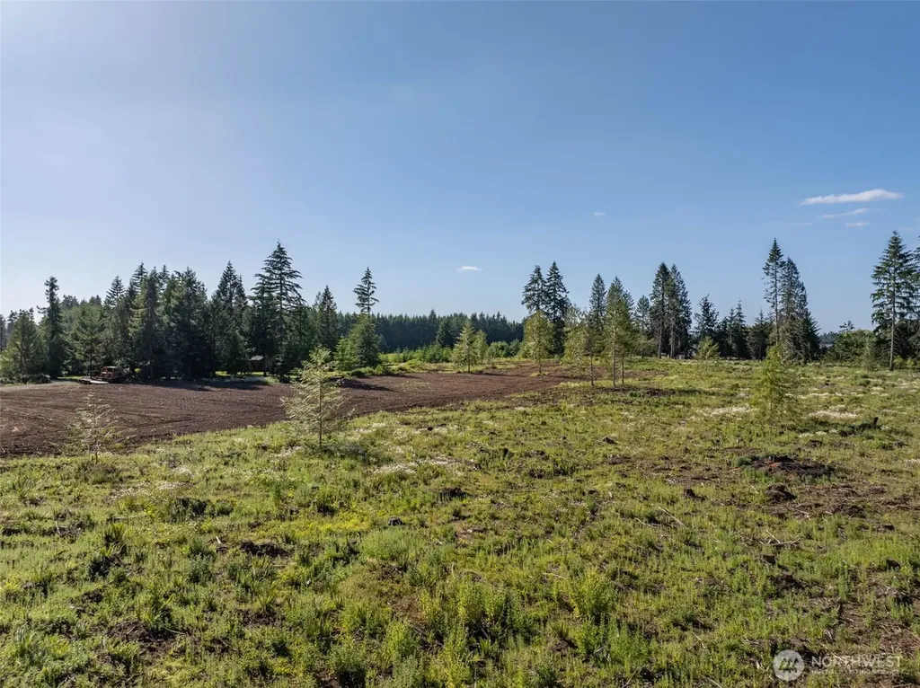 231 Winter Road Winlock WA 98596