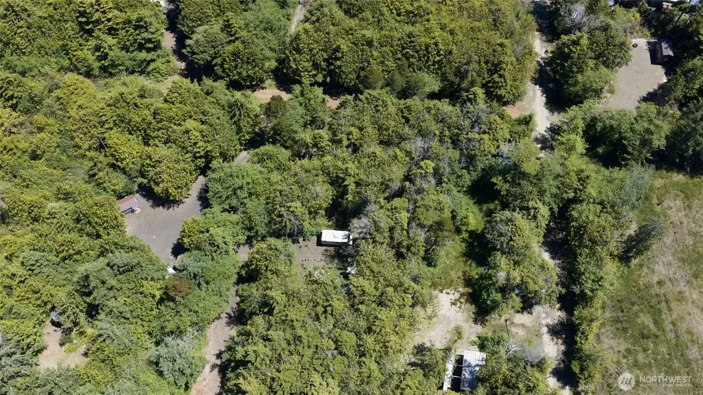 8 Biggs Avenue Pacific Beach WA 98550