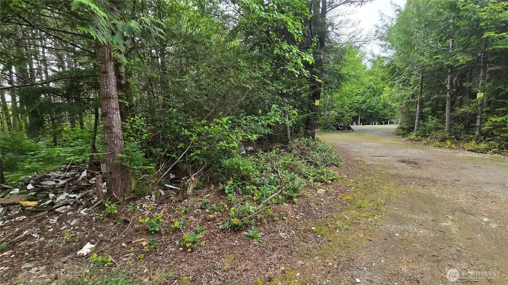 8 Biggs Avenue Pacific Beach WA 98550