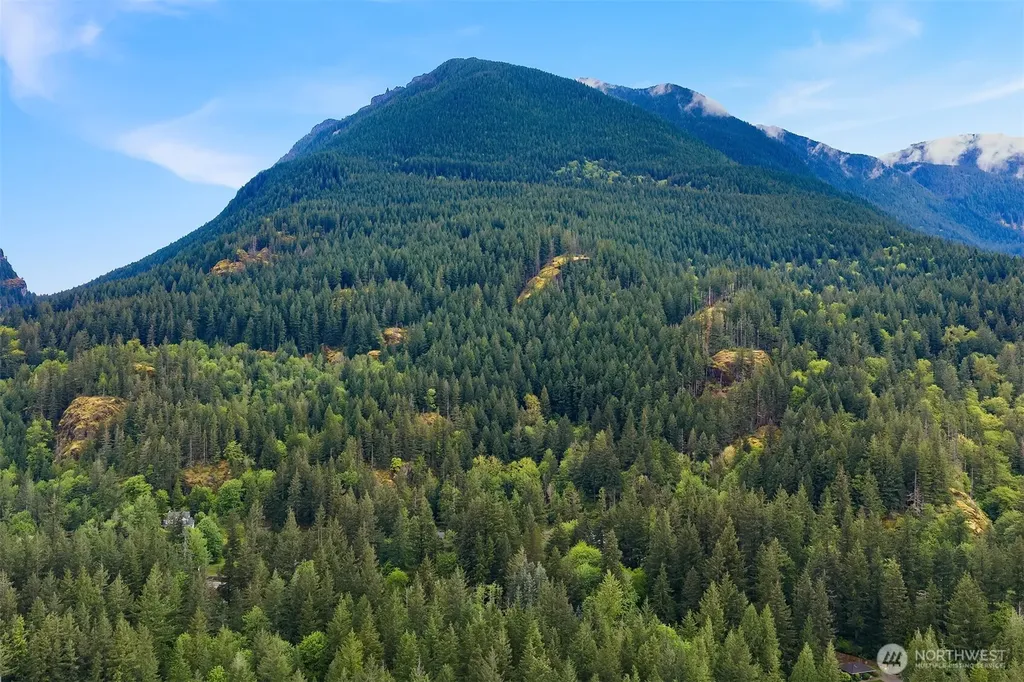 12619 444th Avenue SE North Bend WA 98045