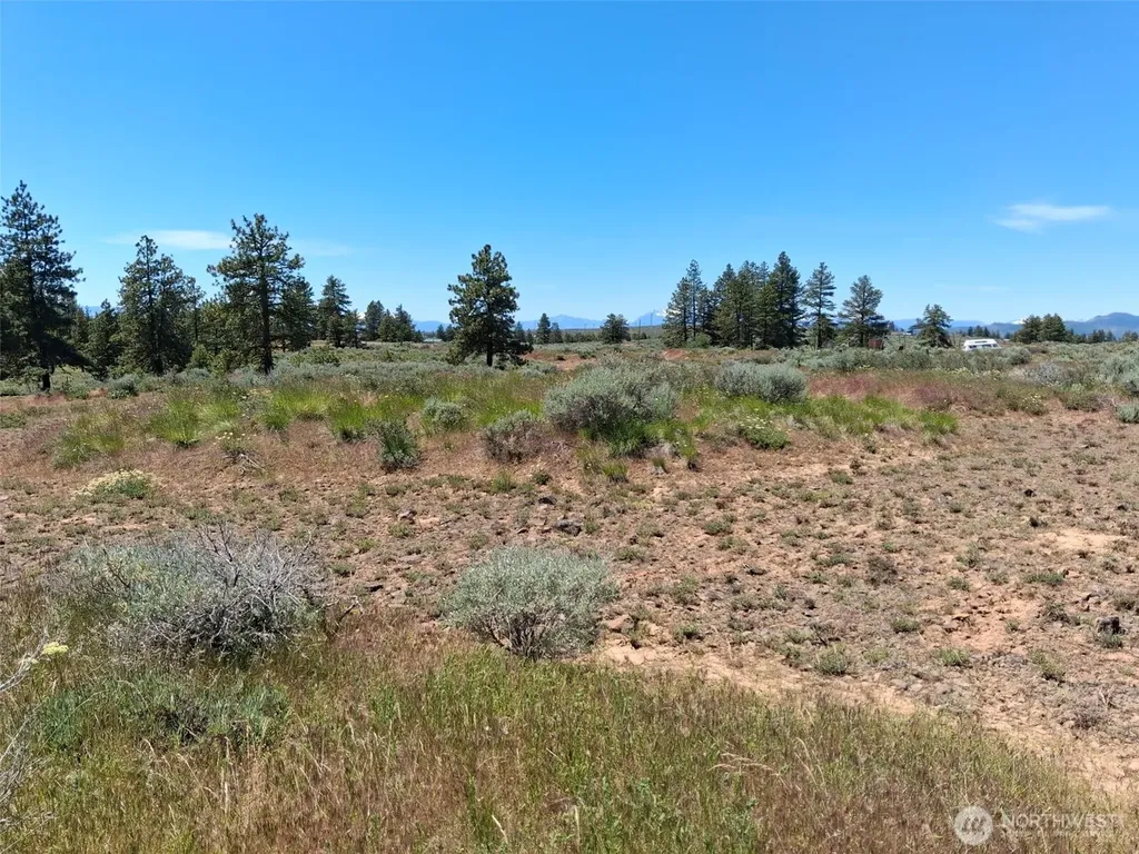 113 Falcon Ridge Road East Wenatchee WA 98802