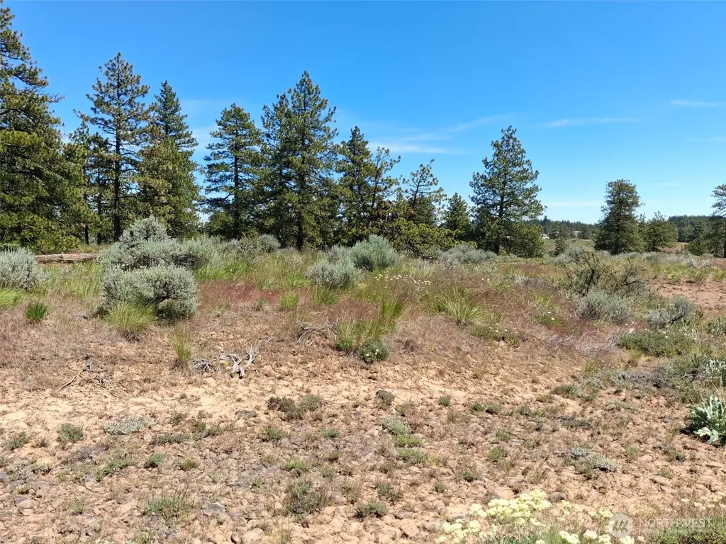 113 Falcon Ridge Road East Wenatchee WA 98802