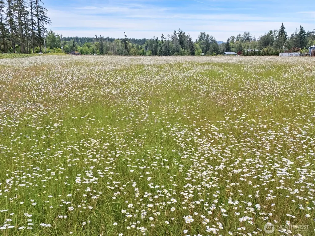 9999 Kirk Road Sequim WA 98382
