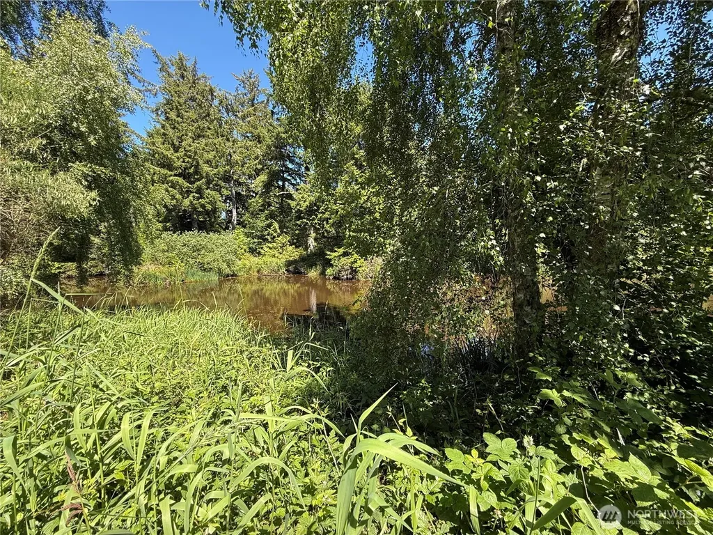 21850 V Lane Ocean Park WA 98640