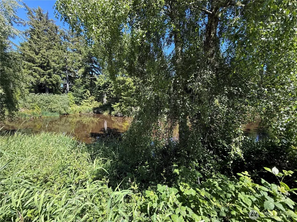 21850 V Lane Ocean Park WA 98640
