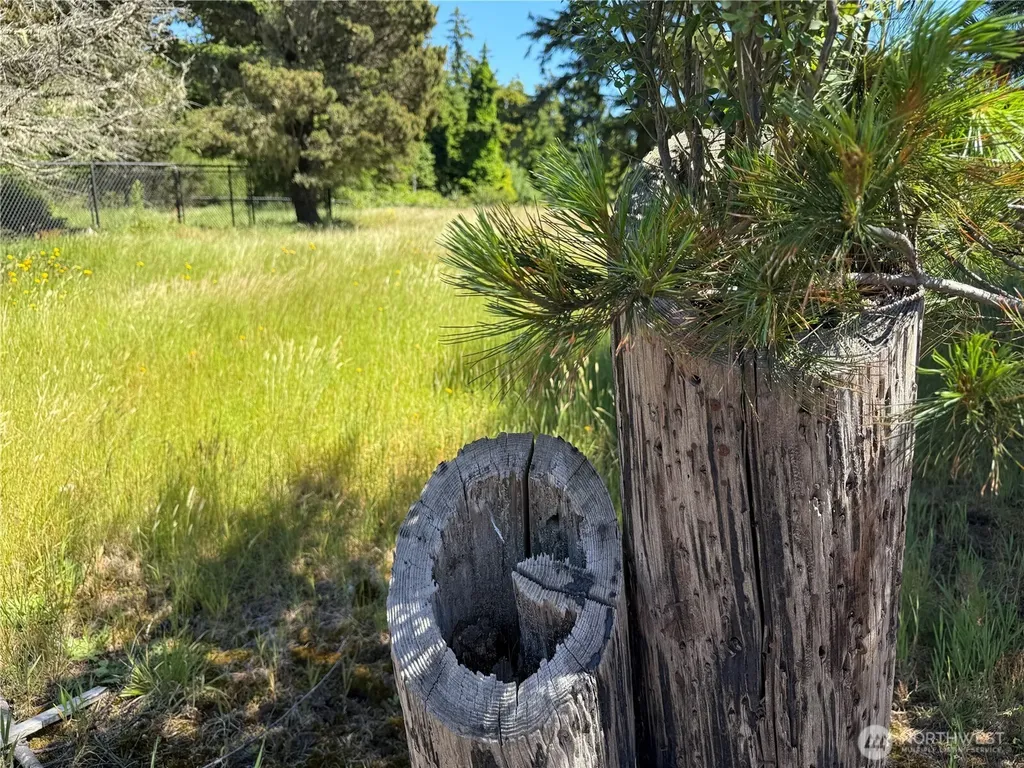 21850 V Lane Ocean Park WA 98640