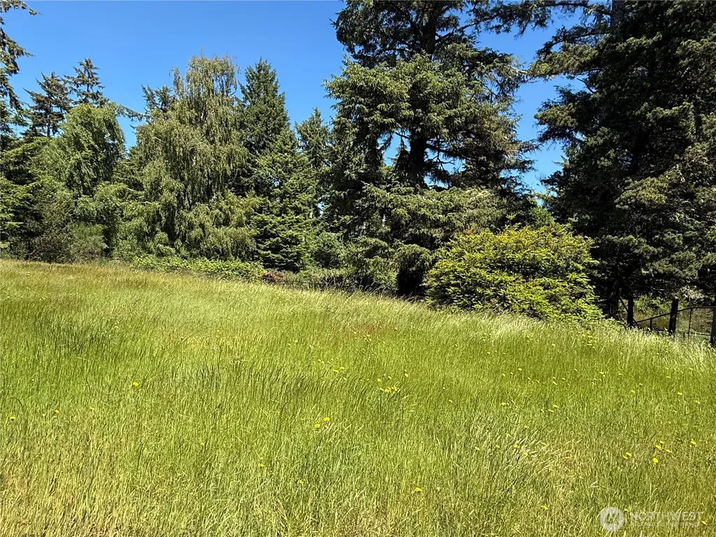 21850 V Lane Ocean Park WA 98640