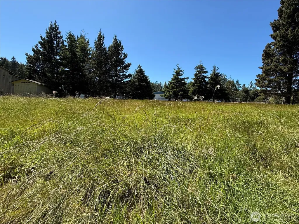 21850 V Lane Ocean Park WA 98640