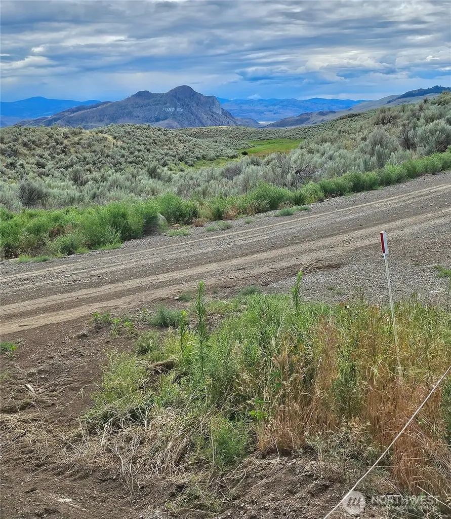 1 Tbd Ping Road Oroville WA 98844
