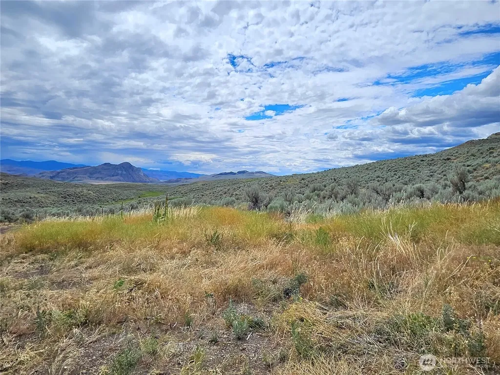 1 Tbd Ping Road Oroville WA 98844