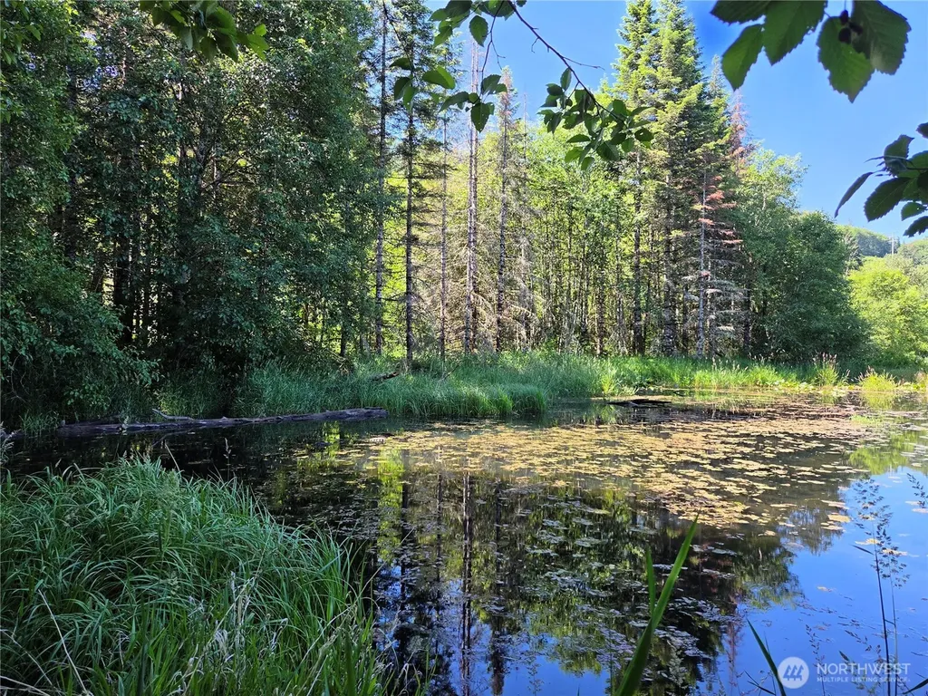 801 Division Avenue Morton WA 98356